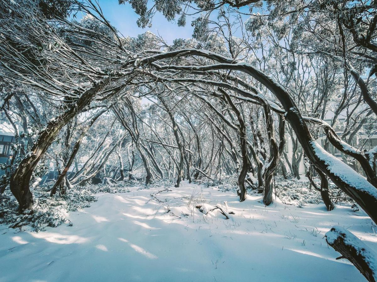 Hotel Ajax Ski Club Mount Buller Exterior foto
